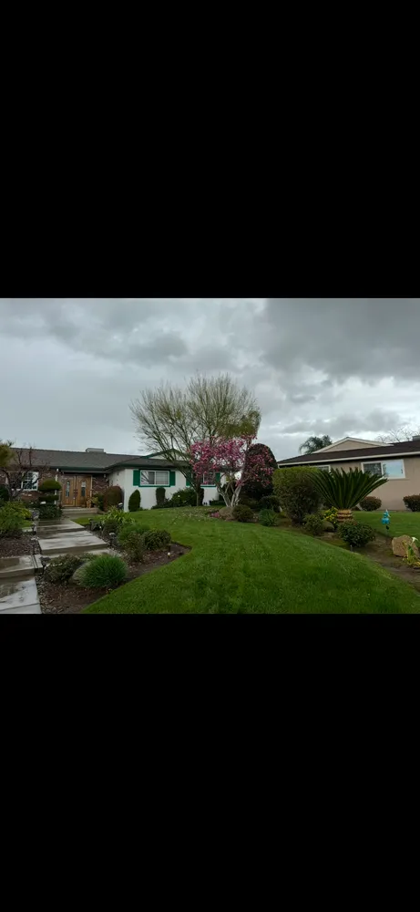 Reliable landscape installation experts serving Fresno, CA - DLS Lawn Service