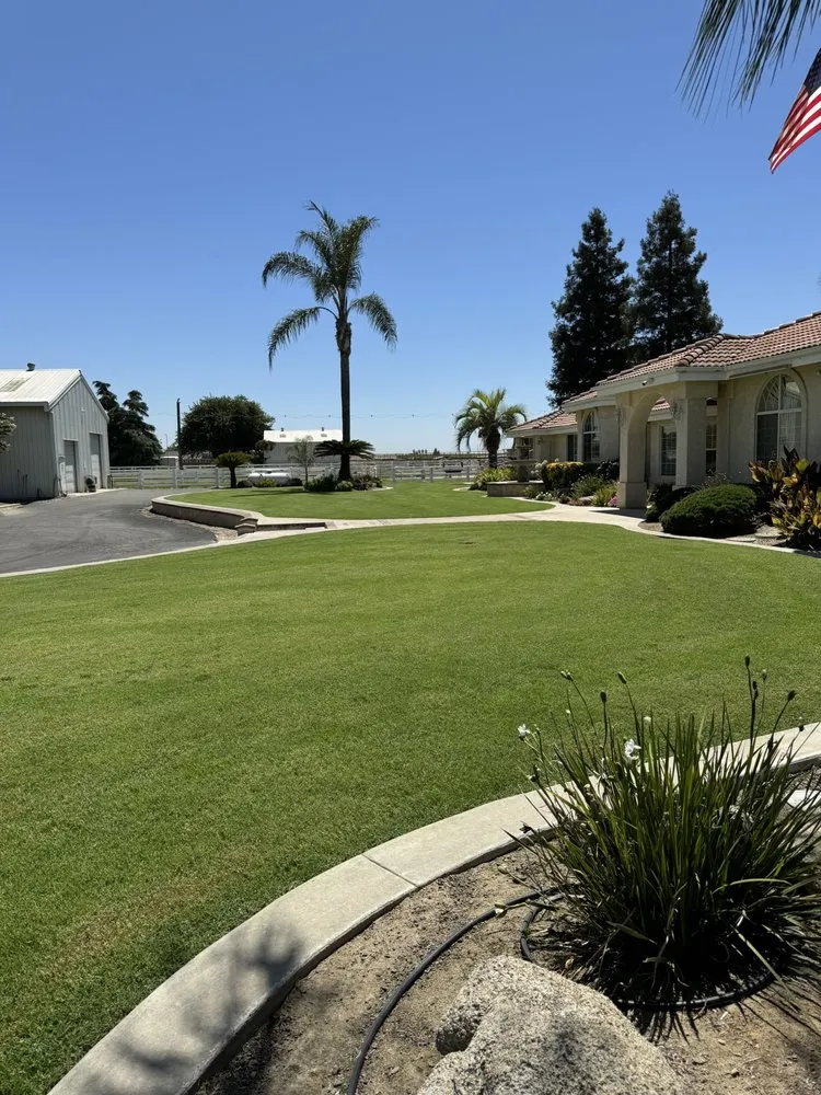 Custom yard maintenance in Fresno, CA by DLS Lawn Service
