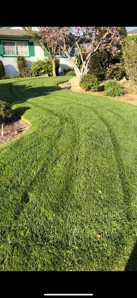 Trusted outdoor landscaping for homes across Fresno, CA - DLS Lawn Service