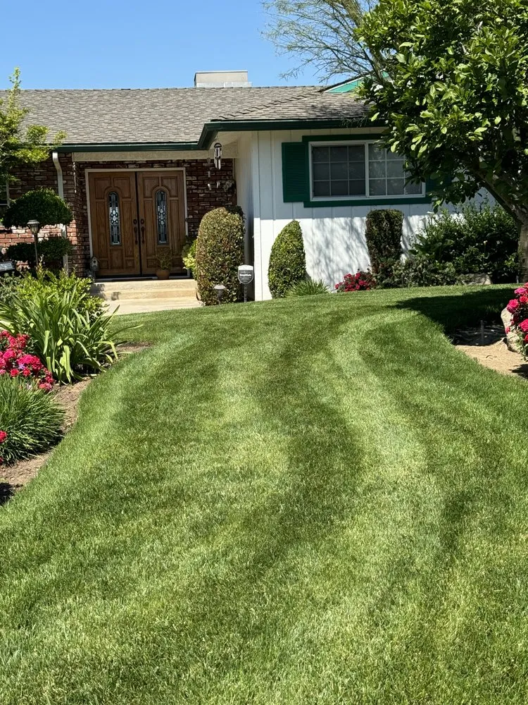 Professional landscaping services experts serving Fresno, CA - DLS Lawn Service