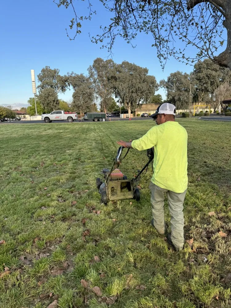 Trusted lawn care service in Fresno, CA - DLS Lawn Service