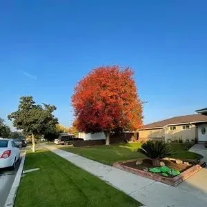 Top-rated landscape design near you in Fresno, CA by DLS Lawn Service