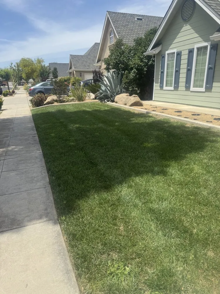 Top-rated landscape design experts serving Fresno, CA - DLS Lawn Service