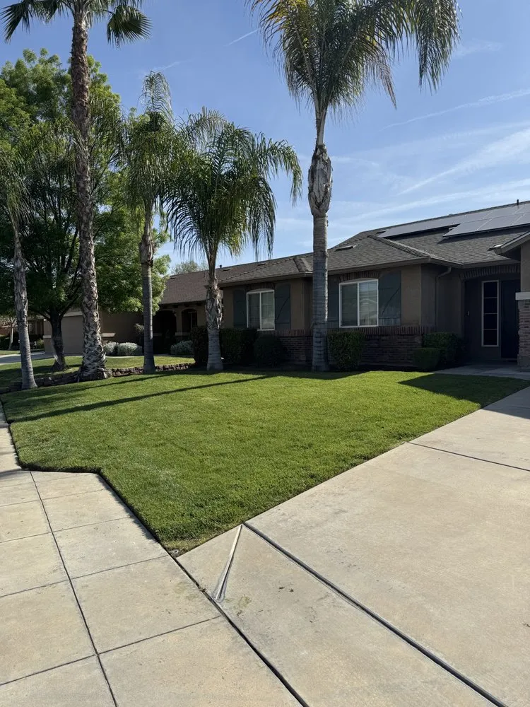 Trusted landscaping services with custom design in Fresno, CA by DLS Lawn Service