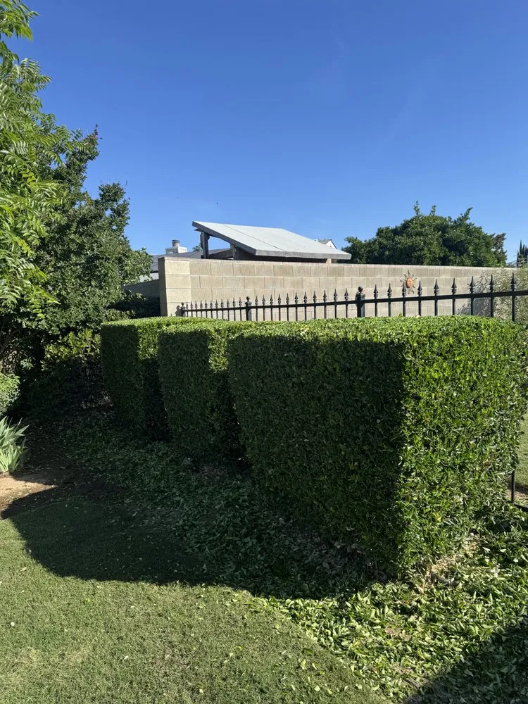 Professional garden landscaping for homes in Fresno, CA by DLS Lawn Service