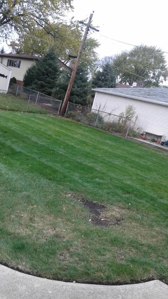 Local landscape design in Berkeley, IL - DLT Brothers Professional Services