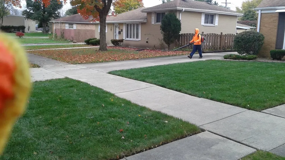 Professional garden landscaping experts serving Berkeley, IL - DLT Brothers Professional Services