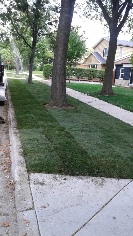 Affordable yard maintenance experts serving Berkeley, IL - DLT Brothers Professional Services
