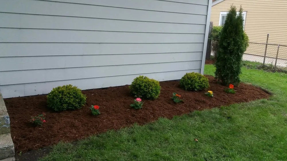 Custom landscaping services for residential properties across Berkeley, IL - DLT Brothers Professional Services