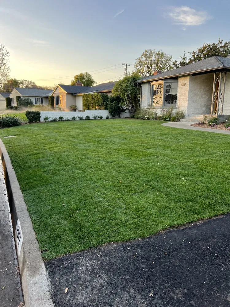 Top-rated outdoor landscaping in Altadena, CA - DLT Landscape & Maintenance