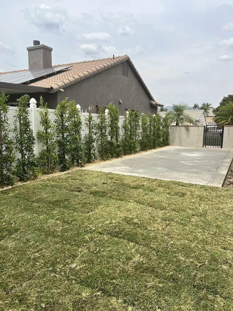 Affordable landscaping services experts serving Altadena, CA - DLT Landscape & Maintenance