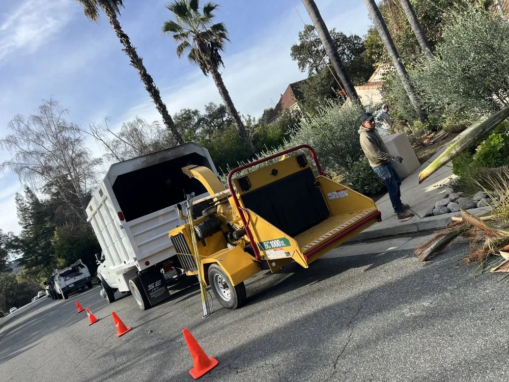 Expert yard maintenance in Altadena, CA - DLT Landscape & Maintenance