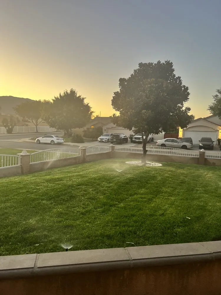 Professional landscape design in Altadena, CA by DLT Landscape & Maintenance