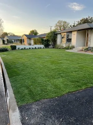 DLT Landscape & Maintenance