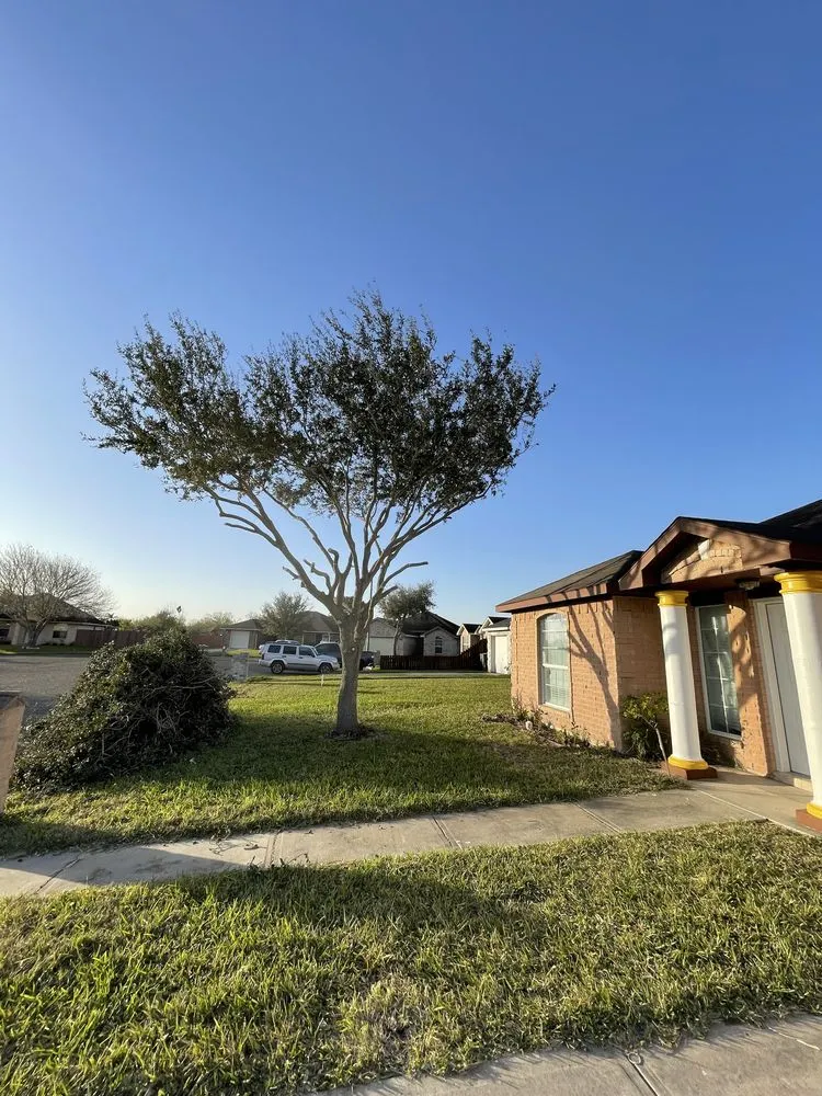 Trusted outdoor landscaping in Harlingen, TX - DLT Lawn Care