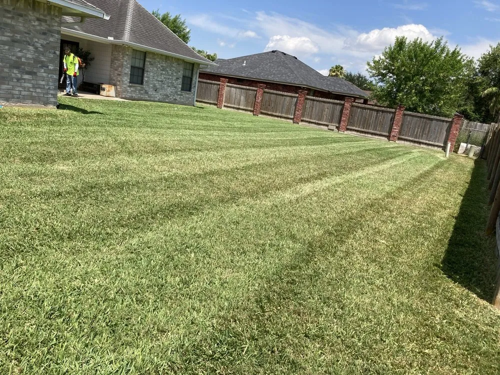 Top-rated yard cleanup service for residential properties across Harlingen, TX - DLT Lawn Care