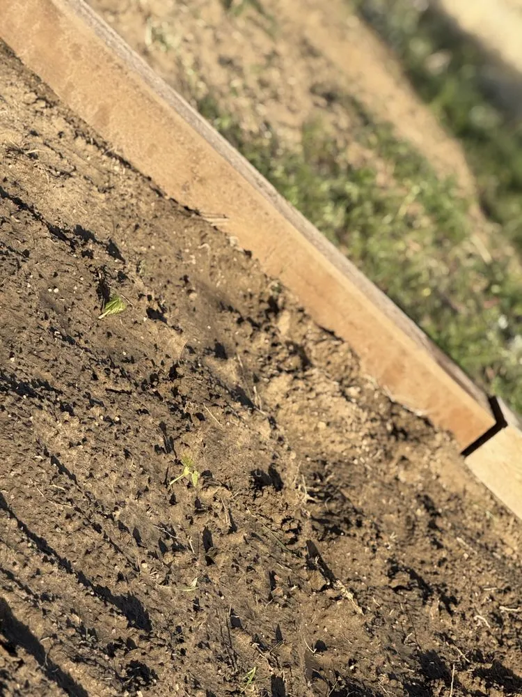 Custom outdoor landscaping for year-round maintenance across Wiggins, CO - DLT Students Lawn Service