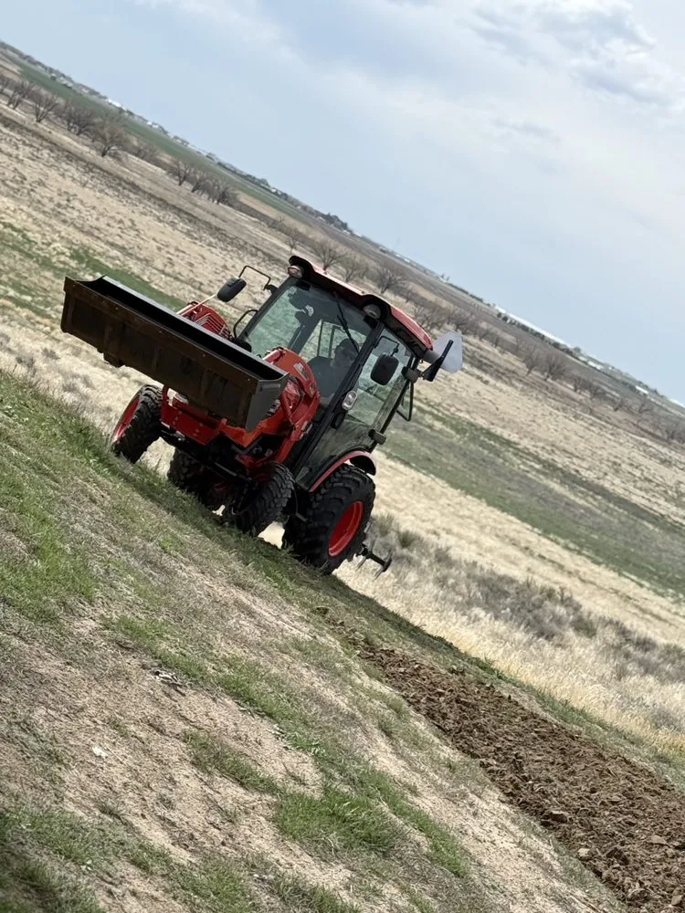 Custom yard cleanup service near you across Wiggins, CO - DLT Students Lawn Service