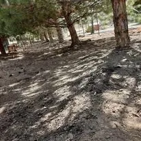 Custom lawn care service for homes across Silver Springs, NV - DLTC Landscaping and Maintenance