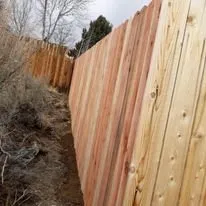 Reliable yard cleanup service in Silver Springs, NV by DLTC Landscaping and Maintenance