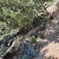 Professional yard maintenance near you in Silver Springs, NV by DLTC Landscaping and Maintenance