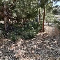 Reliable yard cleanup service for outdoor upgrades in Silver Springs, NV by DLTC Landscaping and Maintenance