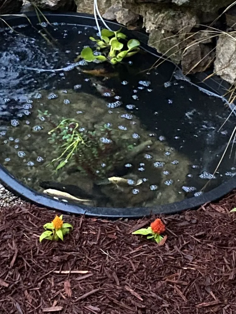 Expert outdoor landscaping in Cedarville, OH by D&M Commercial And Residential Property Management