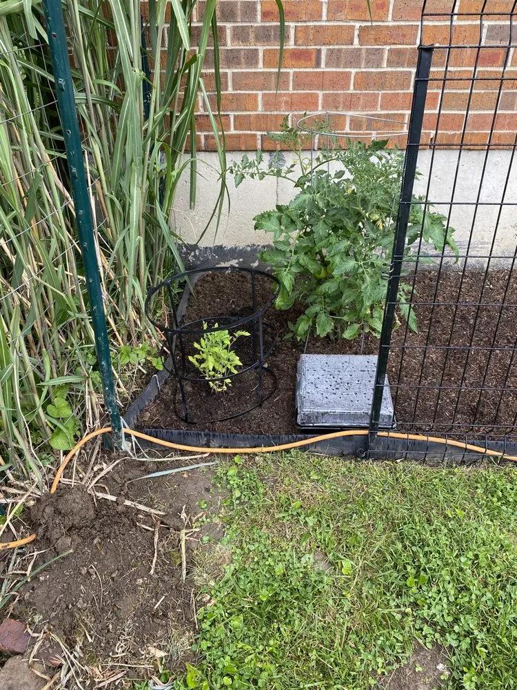 Custom lawn care service for year-round maintenance across Cedarville, OH - D&M Commercial And Residential Property Management