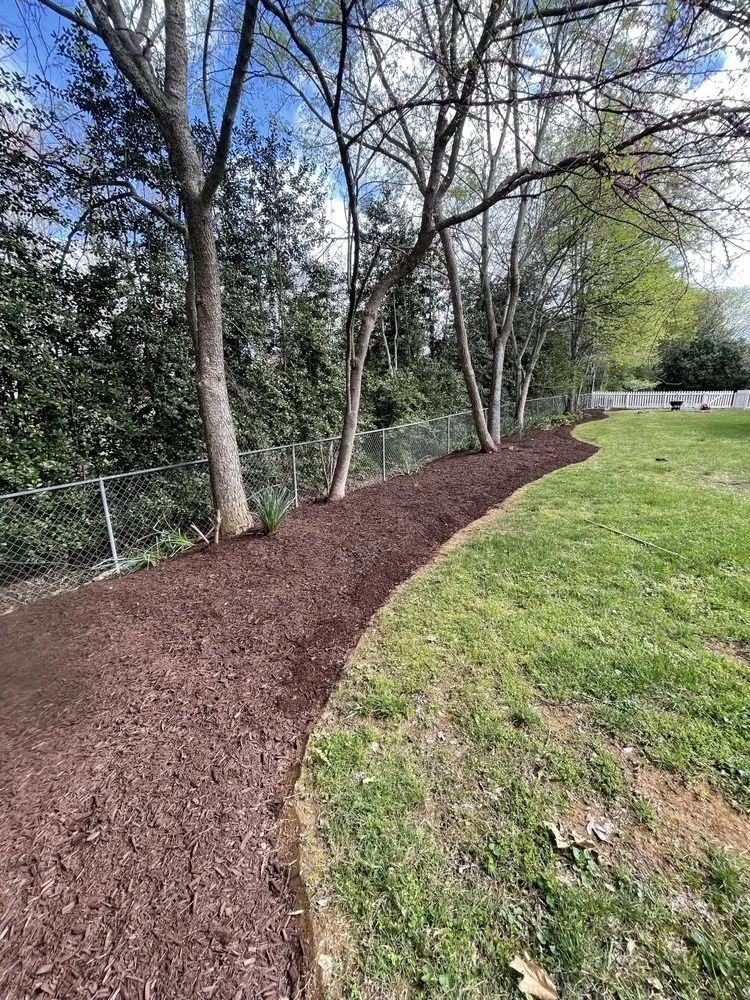 Trusted yard maintenance for beautiful yards across Knoxville, TN - D&M Evergreen Eden Landscaping
