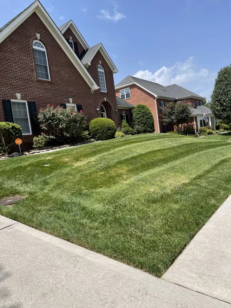 Expert landscape design in Knoxville, TN - D&M Evergreen Eden Landscaping