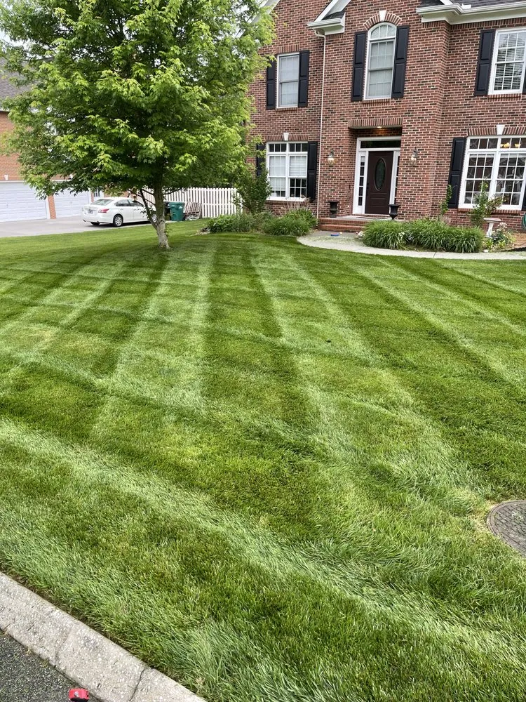 Trusted garden landscaping for outdoor upgrades in Knoxville, TN by D&M Evergreen Eden Landscaping