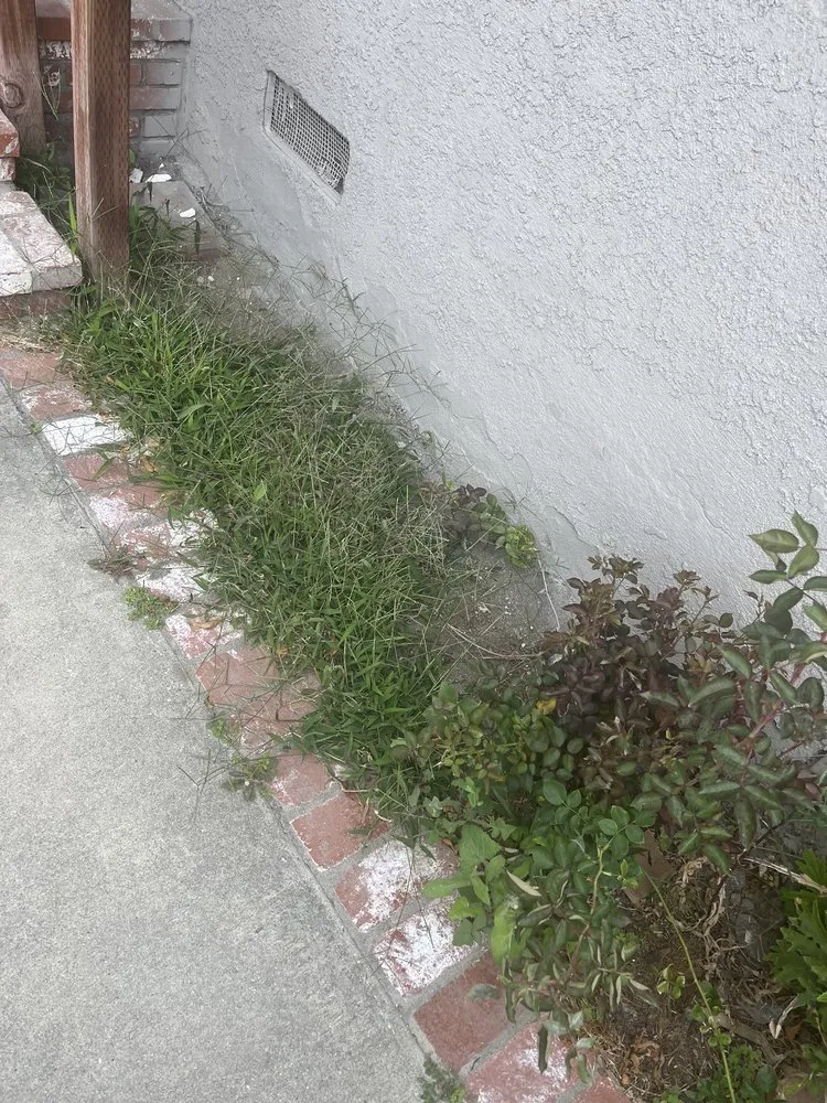 Affordable outdoor landscaping near you in Buena Park, CA by DM Labor services