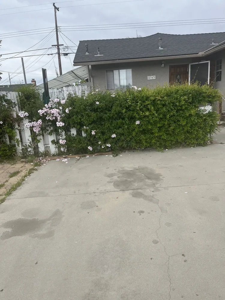 Reliable lawn care service experts serving Buena Park, CA - DM Labor services