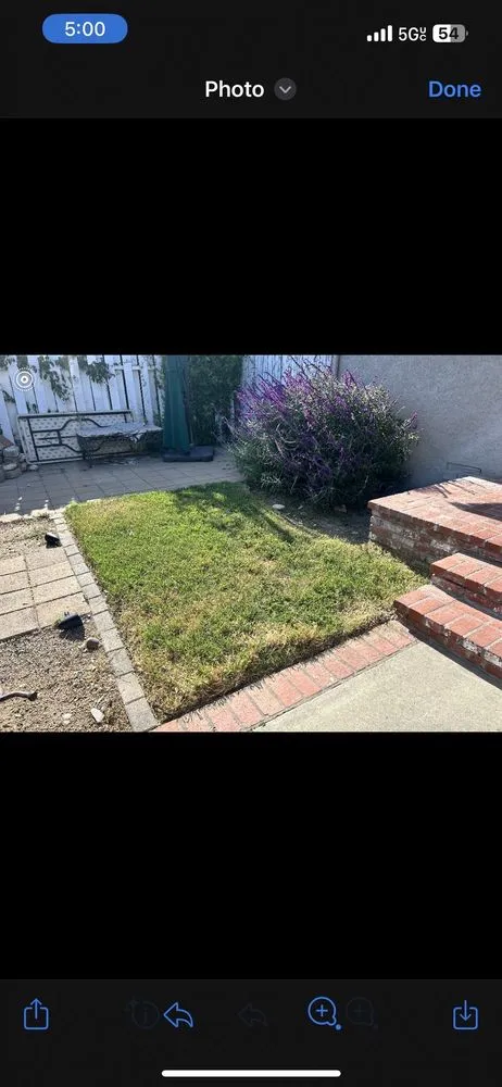 Custom lawn care service in Buena Park, CA by DM Labor services