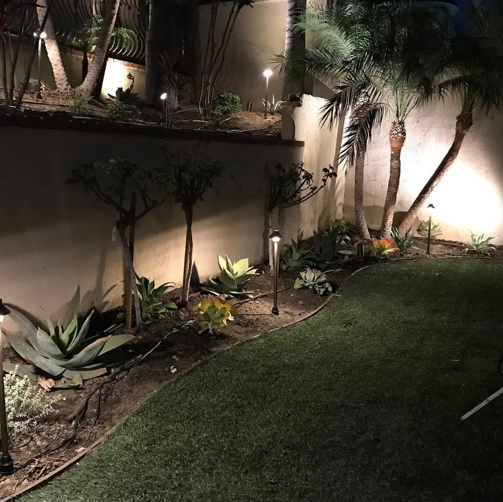 Reliable yard cleanup service experts serving Anaheim, CA - DM Landscape & Maintenance