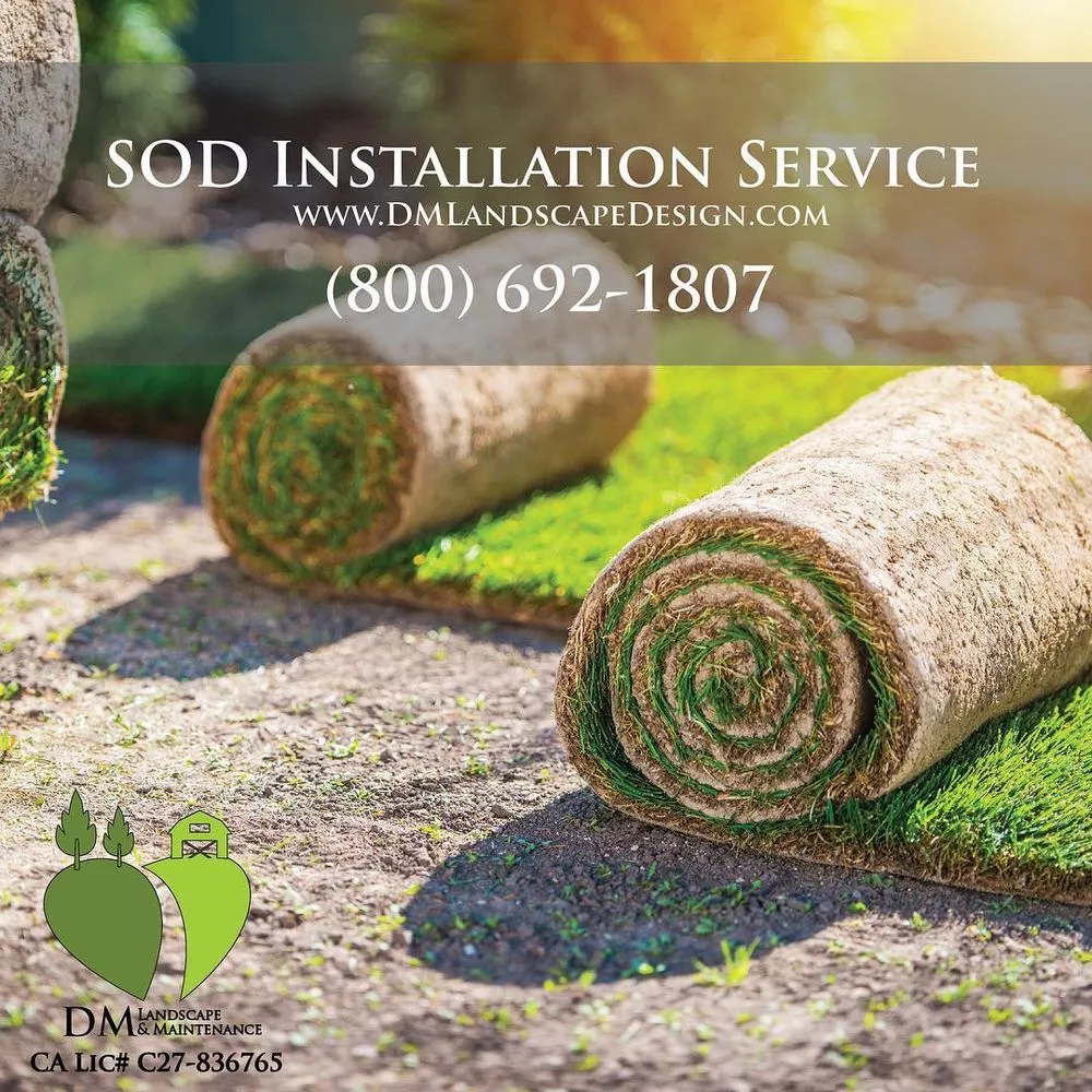 Trusted landscaping services for year-round maintenance across Anaheim, CA - DM Landscape & Maintenance