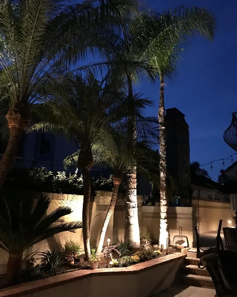 Top-rated lawn care service near you in Anaheim, CA by DM Landscape & Maintenance