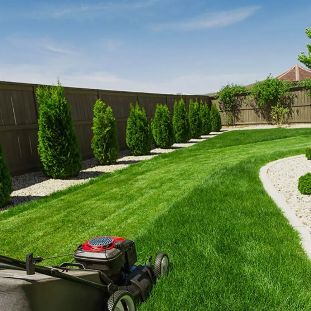 Affordable residential landscaping in Anaheim, CA - DM Landscape & Maintenance