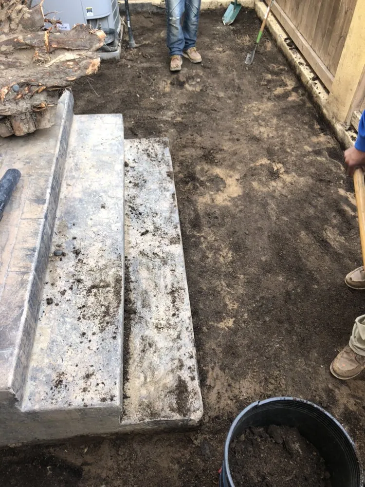 Trusted lawn care service in Anaheim, CA - DM Landscape & Maintenance