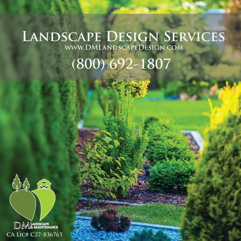 Local landscaping services in Anaheim, CA by DM Landscape & Maintenance