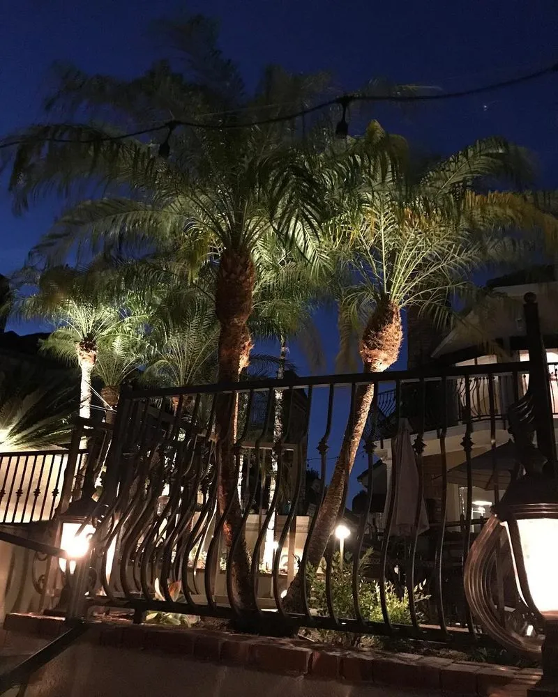 Reliable lawn care service experts serving Anaheim, CA - DM Landscape & Maintenance