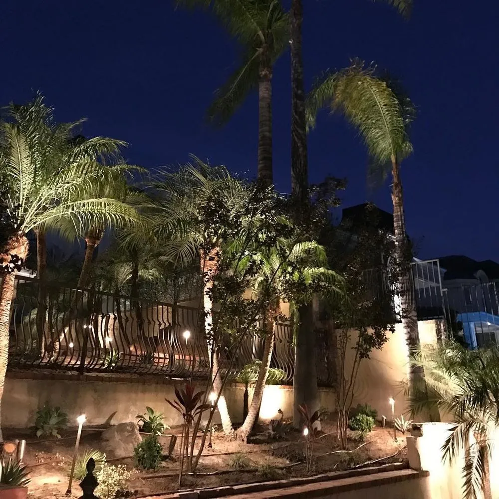 Professional landscape installation experts serving Anaheim, CA - DM Landscape & Maintenance