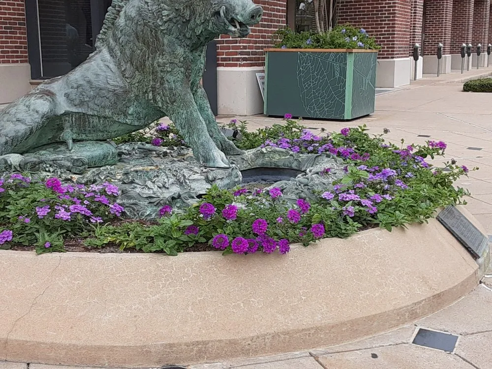 Trusted landscape design with custom design in Houston, TX by DM Landscape and Outdoor Lighting