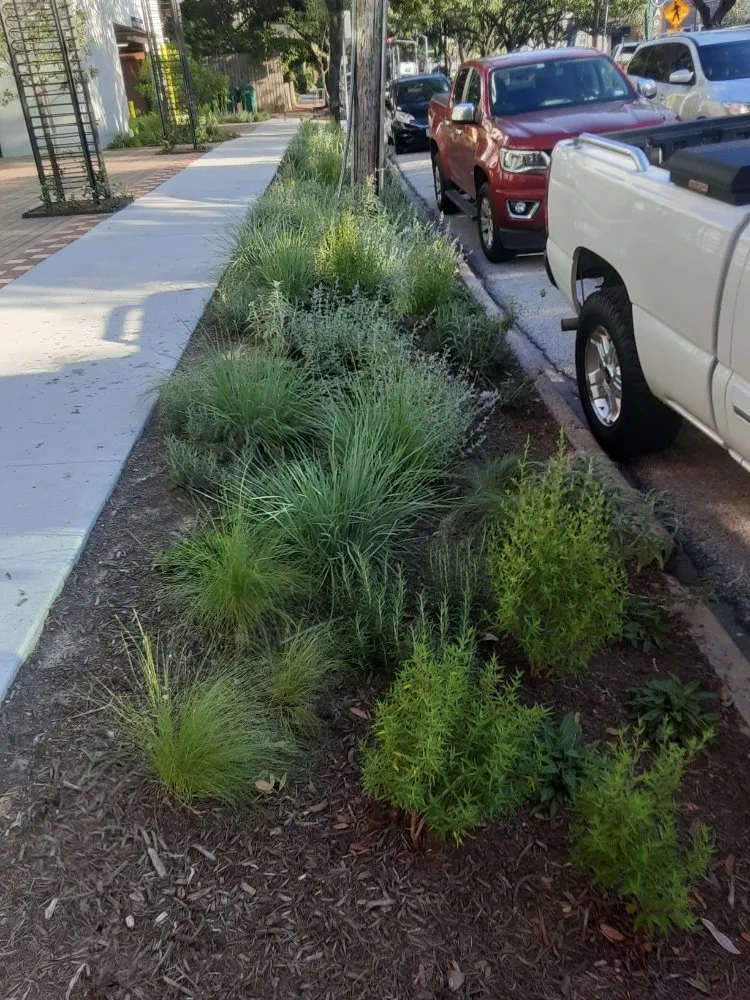 Trusted garden landscaping for residential properties in Houston, TX by DM Landscape and Outdoor Lighting