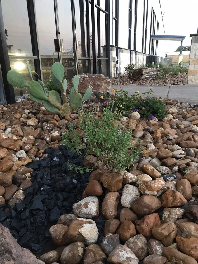 Affordable landscape design in Houston, TX by DM Landscape and Outdoor Lighting