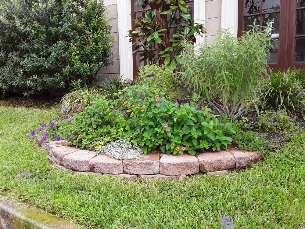 Custom lawn mowing service in Houston, TX by DM Landscape and Outdoor Lighting