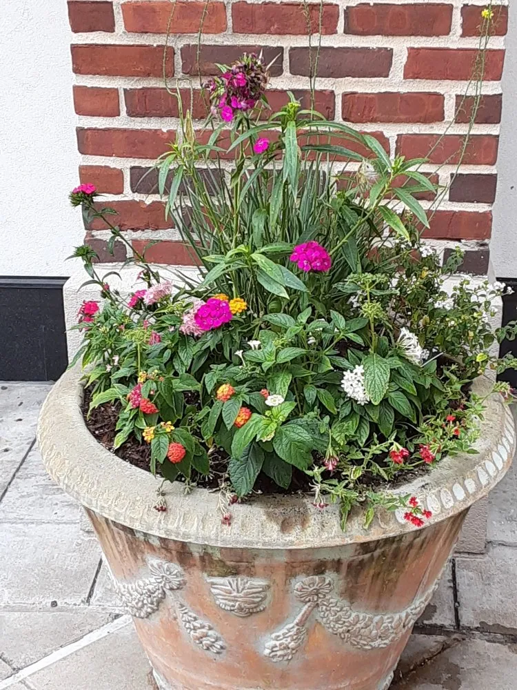 Affordable garden landscaping for year-round maintenance across Houston, TX - DM Landscape and Outdoor Lighting