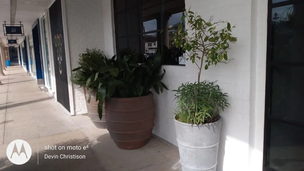 Local lawn mowing service in Houston, TX by DM Landscape and Outdoor Lighting