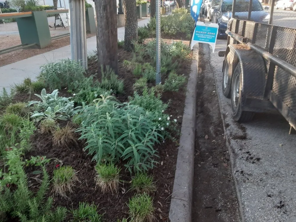 Reliable landscape installation experts serving Houston, TX - DM Landscape and Outdoor Lighting