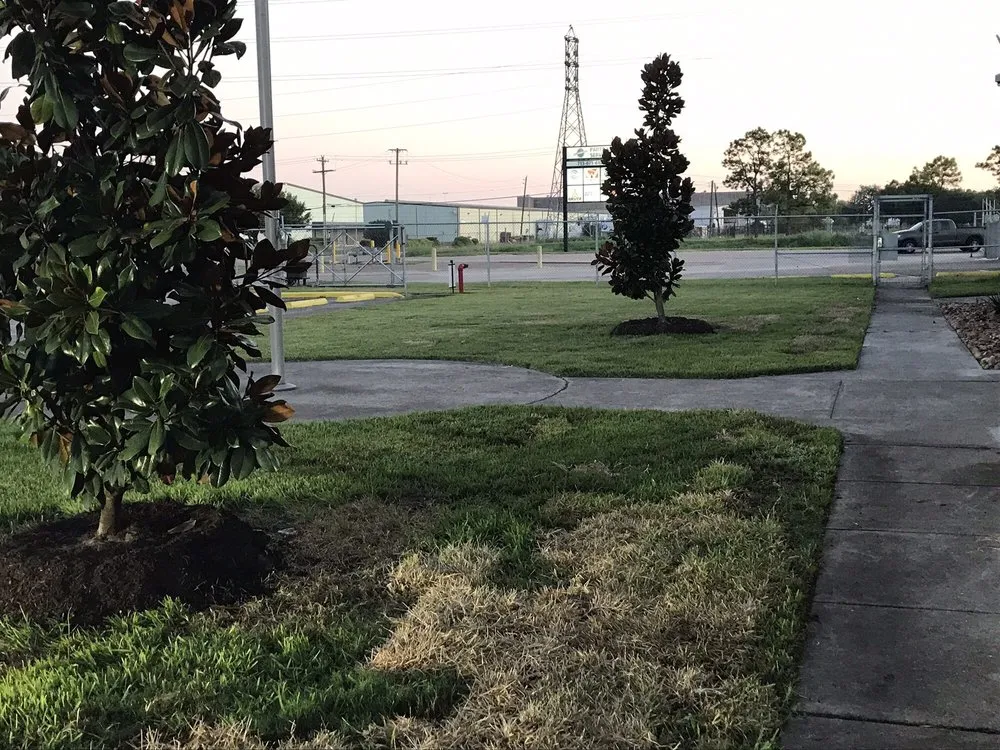 Reliable garden landscaping experts serving Houston, TX - DM Landscape and Outdoor Lighting